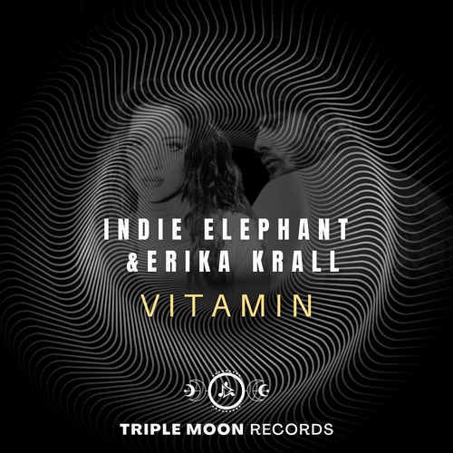 Indie Elephant & Erika Krall - Vitamin [TM006DJ]